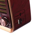 رادیو اسپیکر بلوتوثی گولون Golon RX-BT1111