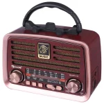 رادیو اسپیکر بلوتوثی گولون Golon RX-BT1111