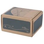 مودم ADSL ZXDSL 831